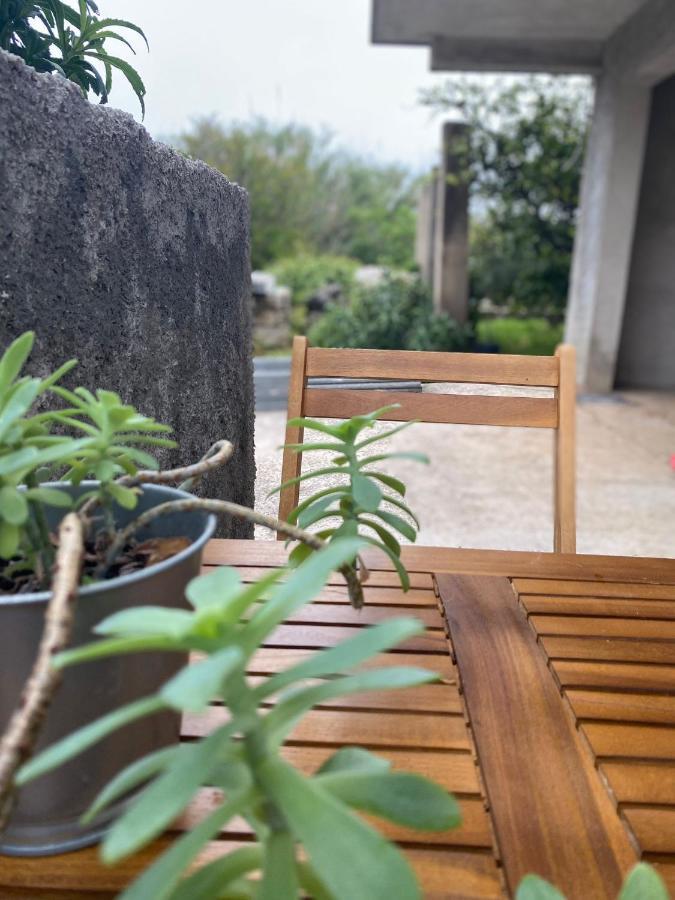 Studio Apartment Novak Čilipi Εξωτερικό φωτογραφία